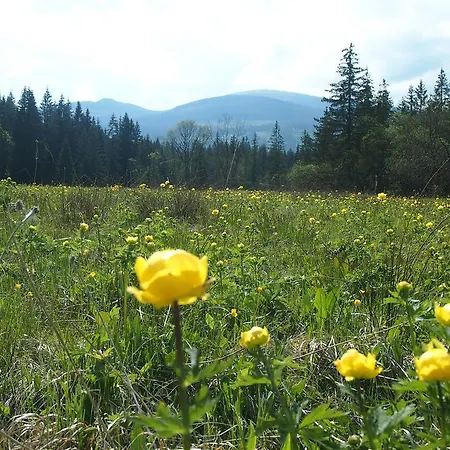 Horehronska Kuria 招待所