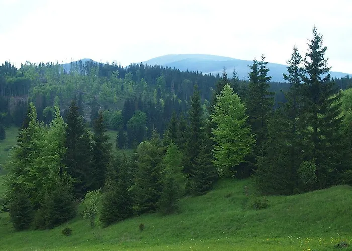 Affittacamere Horehronská Kúria Telgárt