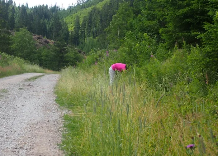 Affittacamere Horehronská Kúria